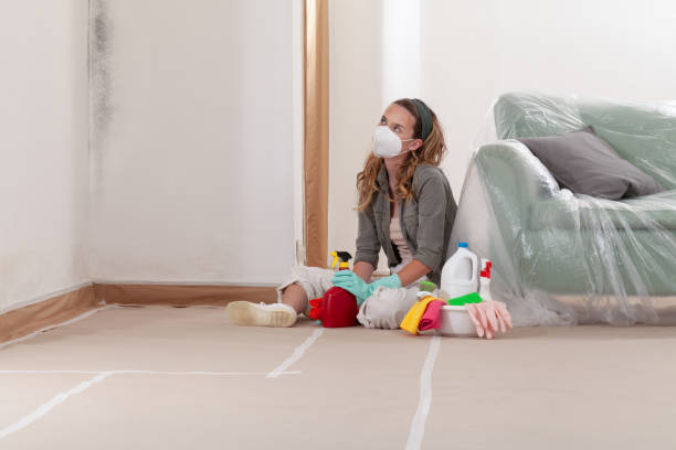 Reliable Mold Removal contractor in Holly Springs, GA by WQB Mold Removal